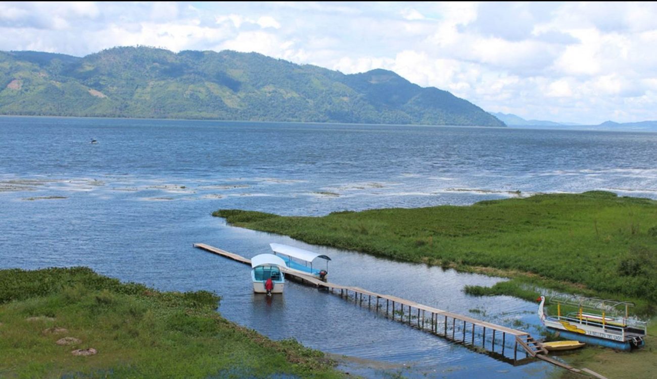 Ministro de MIAmbiente: Hay condiciones para la sobrevivencia de especies marinas en Lago de Yoyoa Ministro de MIAmbiente: Hay condiciones para la sobrevivencia de especies marinas en Lago de Yoyoa