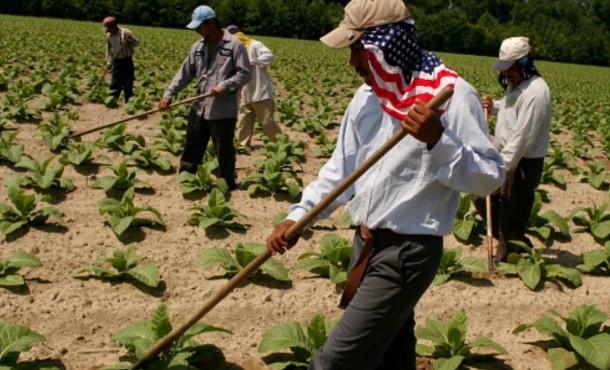 Nuevas restricciones de visas de trabajo: ¿A quiénes afecta la más reciente prohibición?