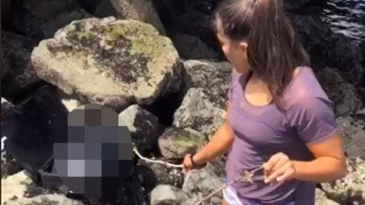 Macabro: Jóvenes hallaron un cadáver en la playa, lo filmaron y subieron el video a TikTok Macabro: Jóvenes hallaron un cadáver en la playa, lo filmaron y subieron el video a TikTok