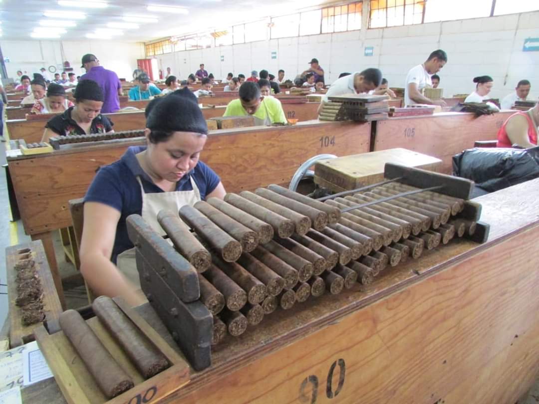 Danlí: Tabacaleras dejarán de laborar  los fines de semana para evitar contagios  por covid-19