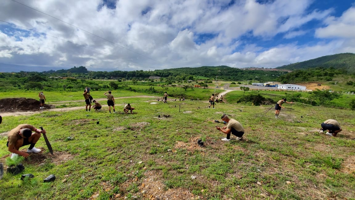 Masiva reforestación en bosques de mangle, en cuencas de ríos y montañas
