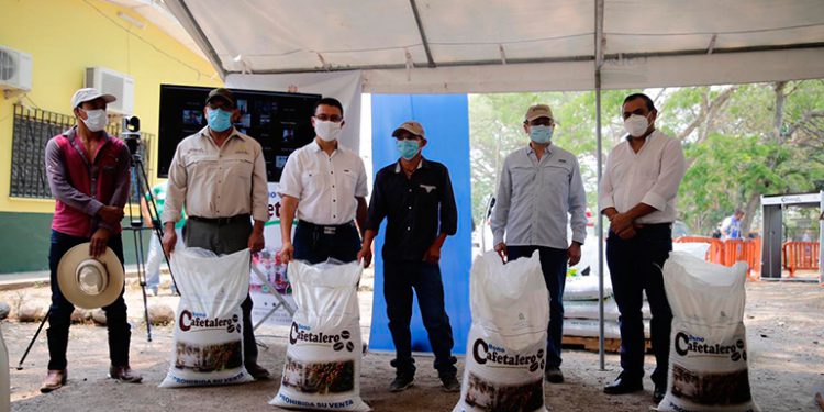 Informa SAG: «Bono Cafetalero ha llegado a 86,500 productores»