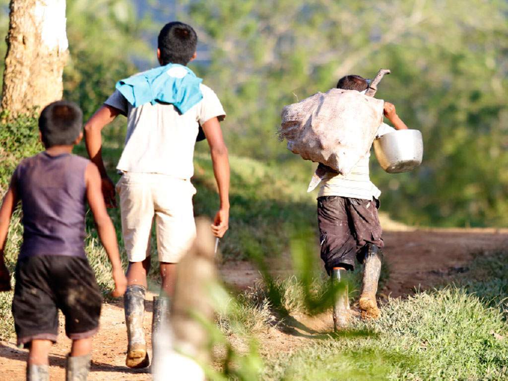 Más de 400 mil niños no estudian en Honduras porque les toca trabajar