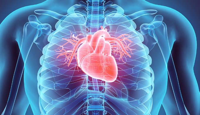 Impacto del covid-19 en el corazón: dos nuevos estudios advierten más afectaciones Impacto del covid-19 en el corazón: dos nuevos estudios advierten más afectaciones