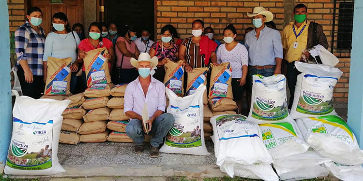 Presidente de Prograno: Bono de Solidaridad se ha despolitizado  