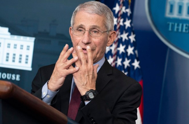 Coronavirus: Fauci: «EE.UU. podría ver ‘más sufrimiento y muerte»