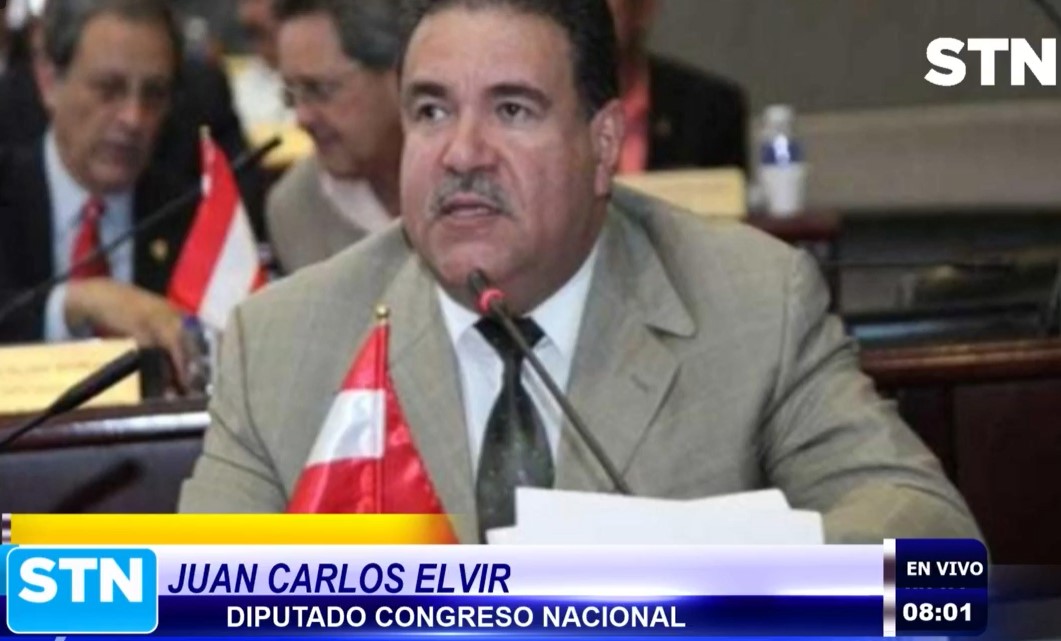 Elvir: «El próximo año será más crítico, porque el Estado pagará a activistas políticos» Elvir: «El próximo año será más crítico, porque el Estado pagará a activistas políticos»