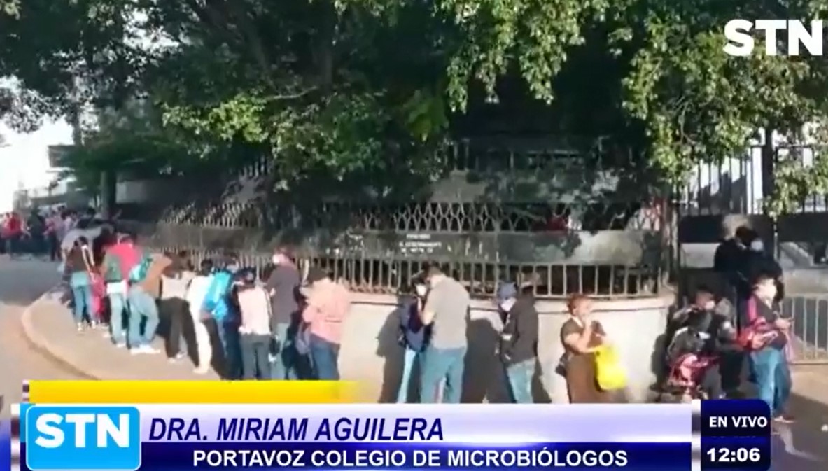 Colegio de Microbiólogos asegura que el 80% de las pruebas resultan positiva a Coronavirus Colegio de Microbiólogos asegura que el 80% de las pruebas resultan positiva a Coronavirus