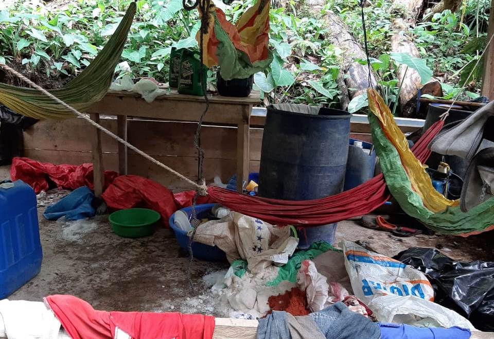 Desmantelan narcolaboratorio y destruyen plantación de coca en Limón, Colón