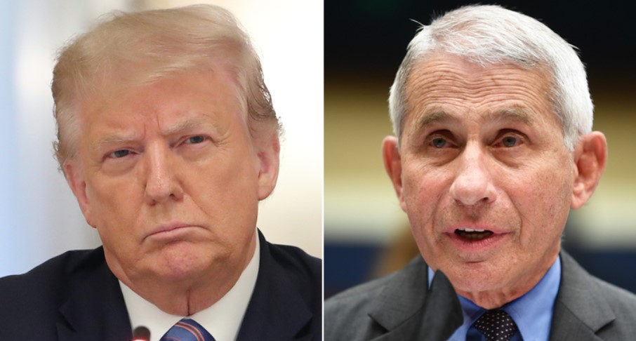 La Casa Blanca va contra Fauci por no estar de acuerdo con Trump sobre el Coronavirus