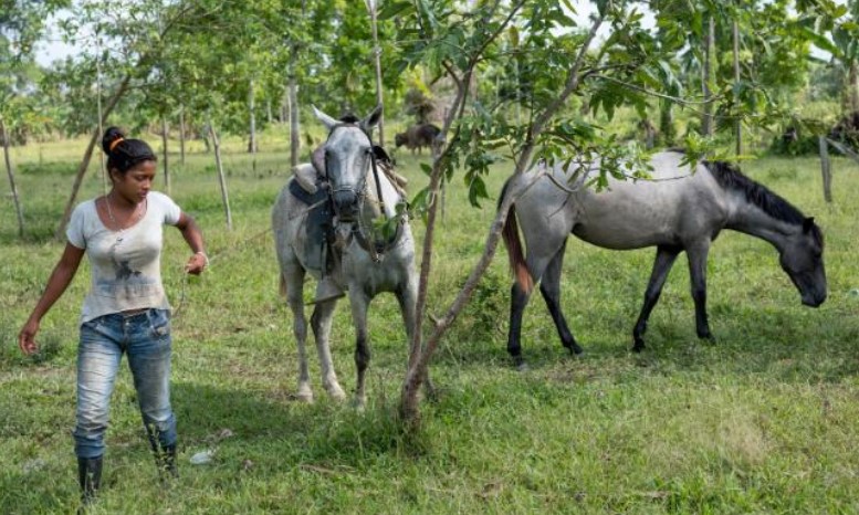 Ultiman a 212 activistas ambientales en 2019 en Colombia Ultiman a 212 activistas ambientales en 2019 en Colombia
