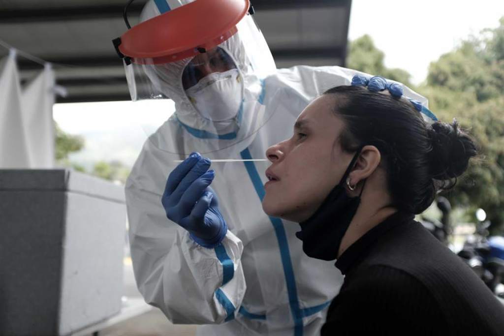 Costa Rica avanza en tratamiento de COVID-19 a base de plasma de caballos