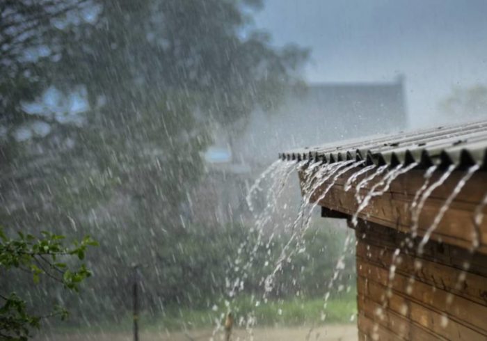 Wil Ochoa: Lluvias y chubascos podrían presentarse en el occidente, centro y oriente del país Wil Ochoa: Lluvias y chubascos podrían presentarse en el occidente, centro y oriente del país