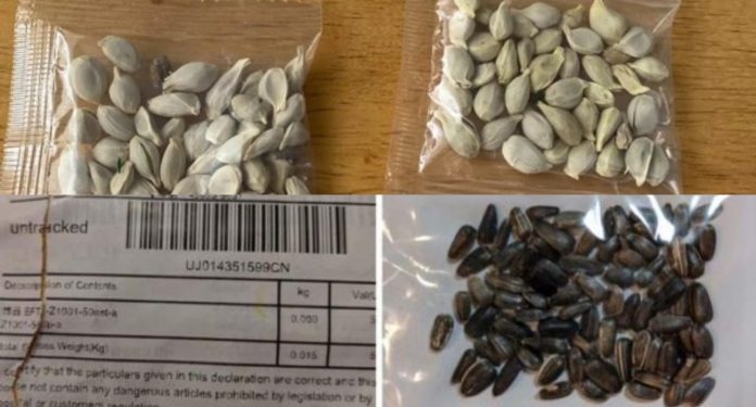 Estadounidenses reciben misteriosos paquetes desde China Estadounidenses reciben misteriosos paquetes desde China