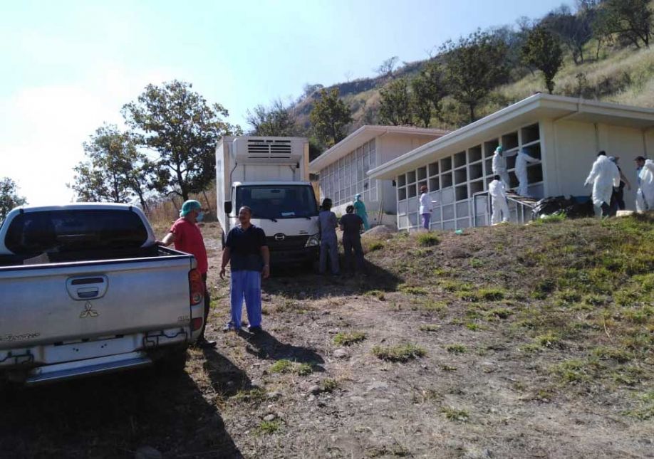 Inhumarán 30 cuerpos que no han sido reclamados en la morgue capitalina Inhumarán 30 cuerpos que no han sido reclamados en la morgue capitalina