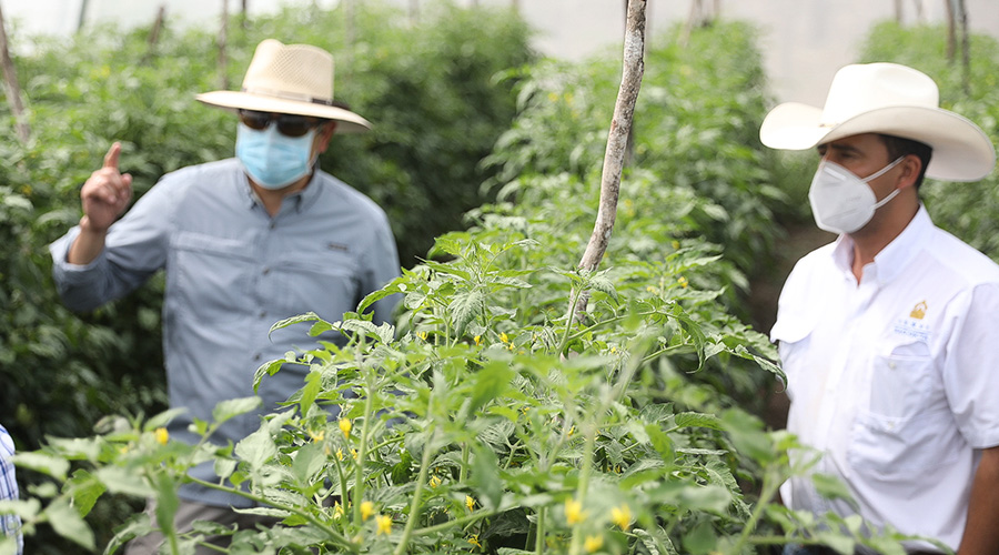 Beneficiados reconocen el impacto positivo que ha tenido el Bono Cafetalero en sus fincas