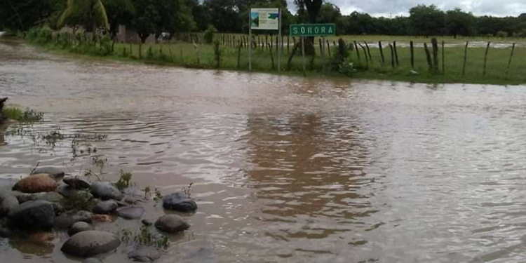 Desbordamiento del río Goascorán causa pánico entre los pobladores de Alianza, Valle