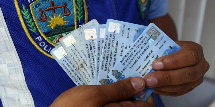 DNVT renovará licencias de conducir en línea DNVT renovará licencias de conducir en línea