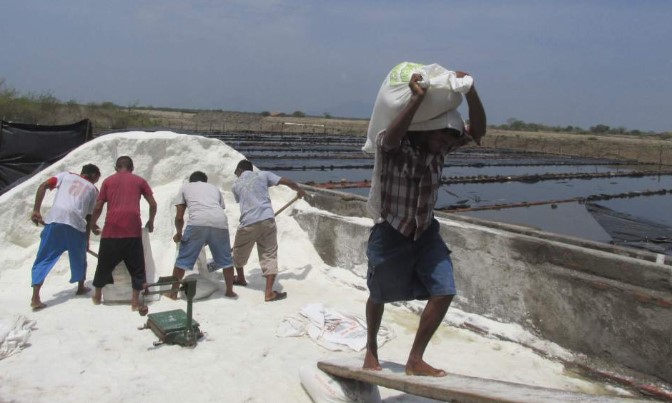 Productores de sal estan optimistas que la situación mejorará 
