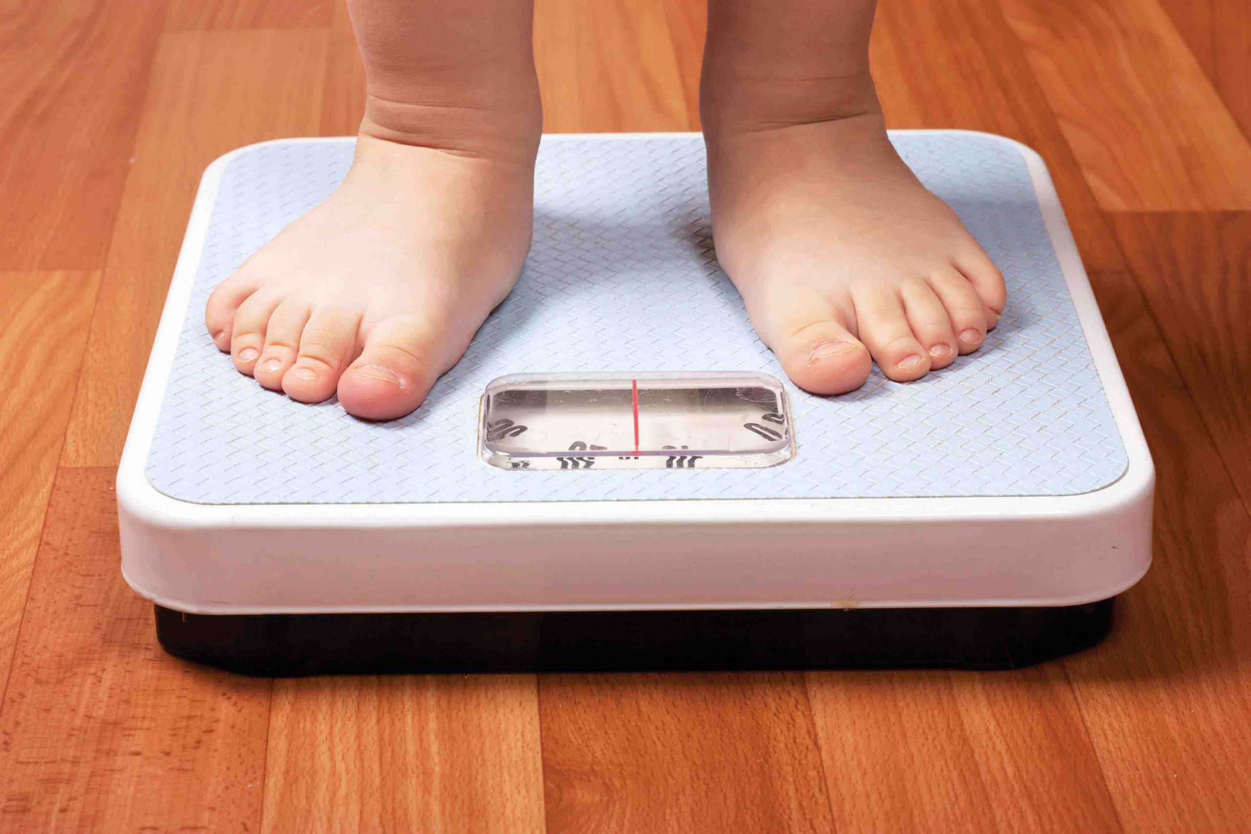 Advierte nutricionista:   Crece a un 5% la obesidad infantil