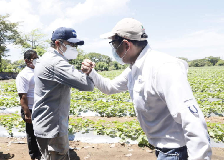 Presidente Hernández llama a ser solidarios con todos los sectores en medio de pandemia