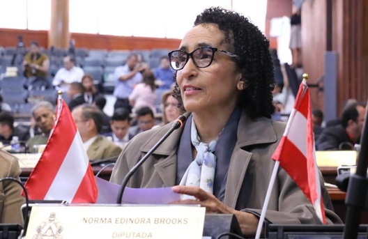 Diputada Edinora Brooks: «Se debe castigar a los políticos que no respeten las normativas de bioseguridad»