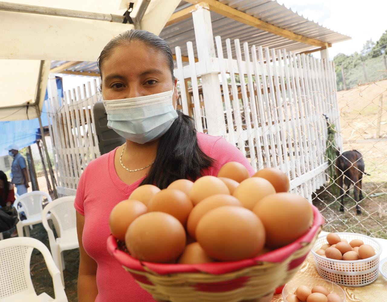 Familias de San Andrés, Lempira, reciben beneficios con cría de cerdos, gallinas y cabras