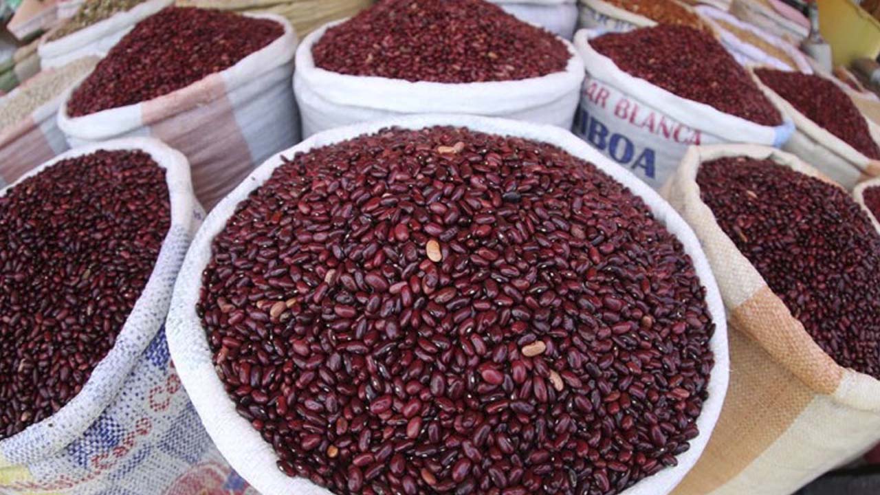 Sobreproducción de frijol provoca un excedente de 2 millones de quintales listos para exportar
