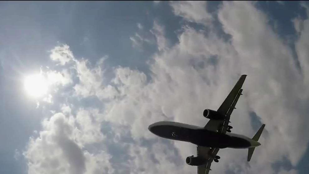 Avión que transportaba al vicepresidente de EEUU chocó con un pájaro Avión que transportaba al vicepresidente de EEUU chocó con un pájaro