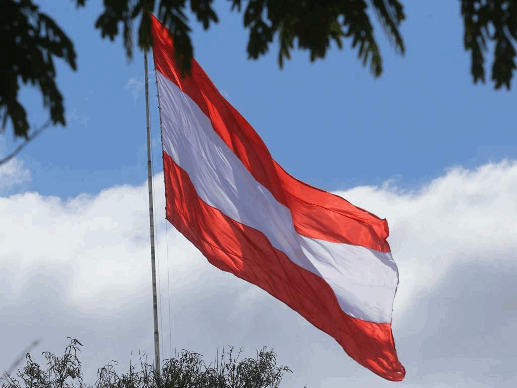 Reaparece vieja guardia del Partido Liberal y afirman que este instituto retomará el poder nuevamente