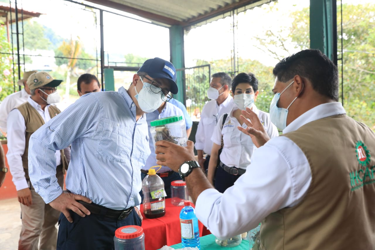 Presidente Hernández visita Centro de Capacitación e Investigación del Ihcafé
