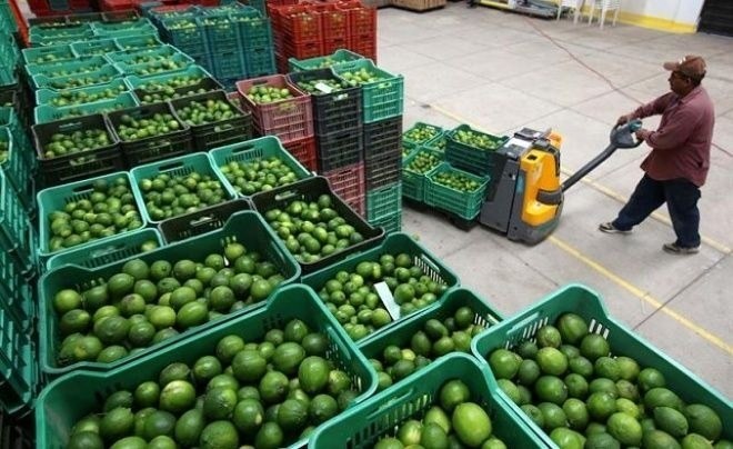 Escasez de limones en los mercados de Honduras