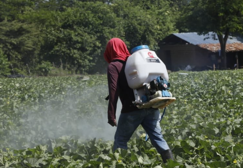 Presidente Hernández supervisa proyecto de Prosasur en Namasigüe