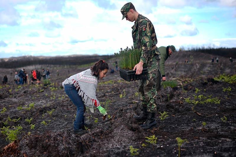 FFAA reafirma su compromiso de cuidar y proteger los bosques del país FFAA reafirma su compromiso de cuidar y proteger los bosques del país