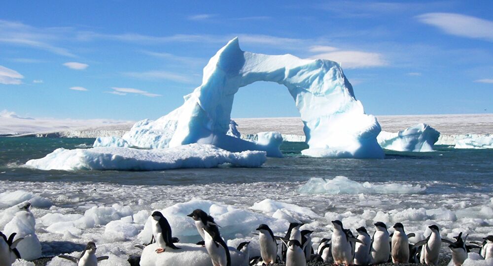 Conozca 10 curiosidades sobre el continente blanco, Antártida