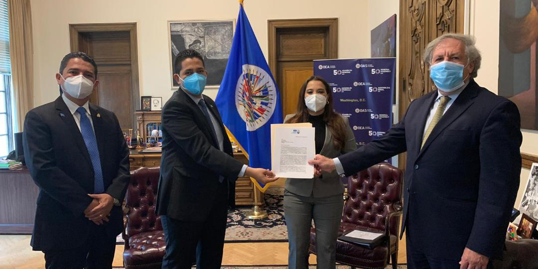 Ante la OEA   Partido Nacional pide una misión de observación electoral para los próximos comicios primarios