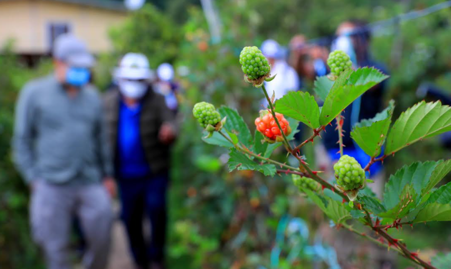 Lanzan campaña turística para promover el Feriado Morazánico denominada «Porque lo Mereces»