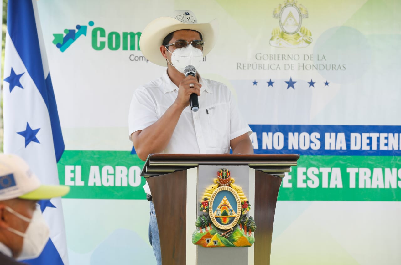 Alcalde: «Hoy sí se está aprovechando la potencialidad de Erandique en el sector agrícola» Alcalde: «Hoy sí se está aprovechando la potencialidad de Erandique en el sector agrícola»
