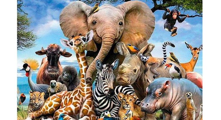 Día mundial de los animales; conoce cuantos están en peligro de extinción