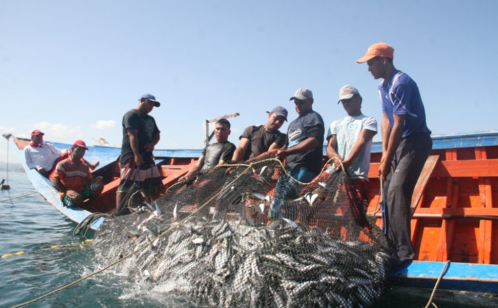Pescadores del Golfo de Fonseca podrán realizar su faena en mar abierto