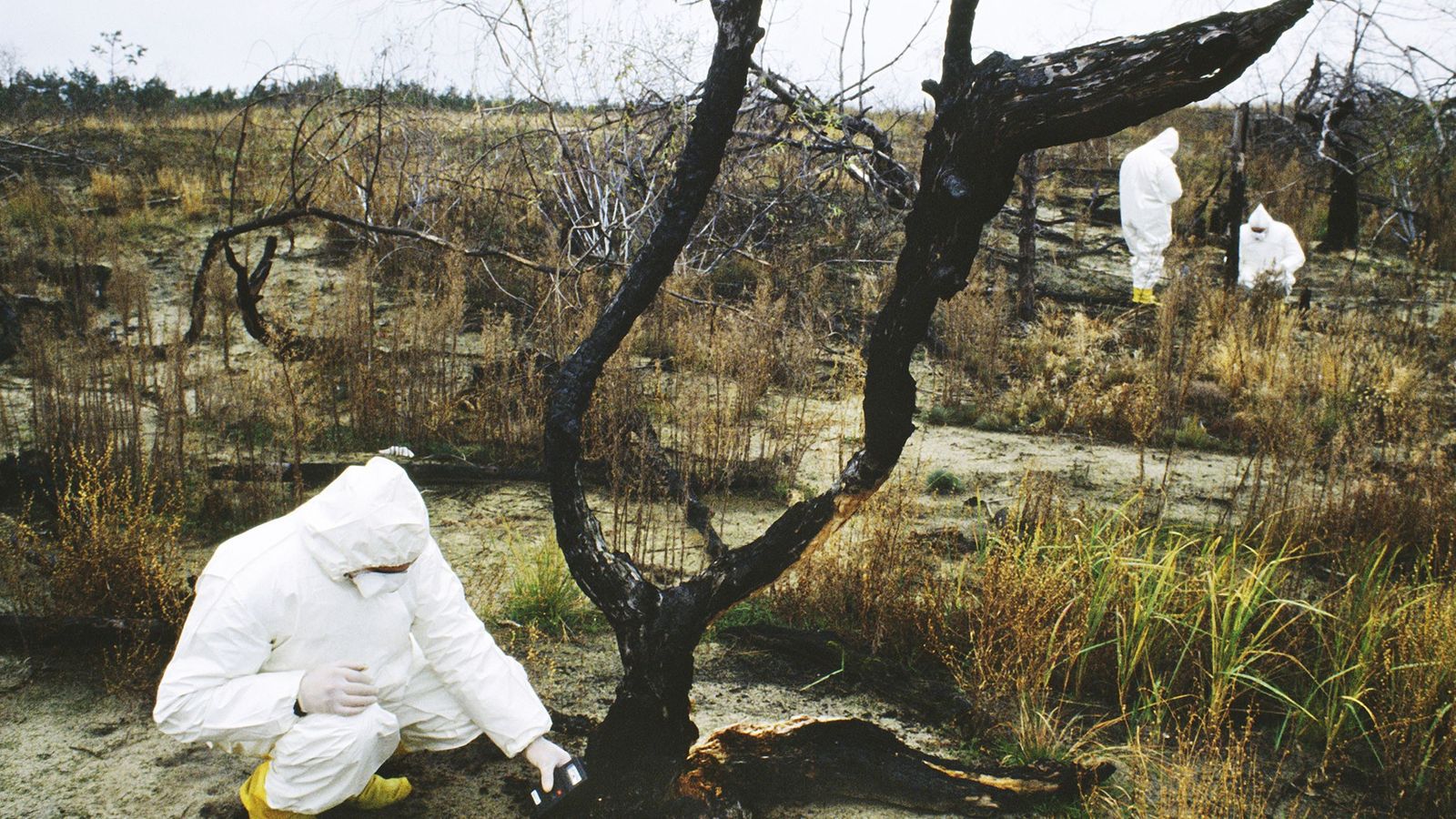 Chernóbil podría ser habitable dentro de unos 20,000 años Chernóbil podría ser habitable dentro de unos 20,000 años