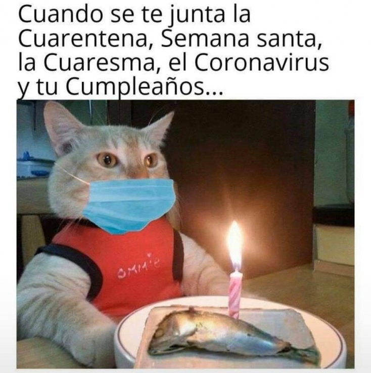 viernes de meme #2