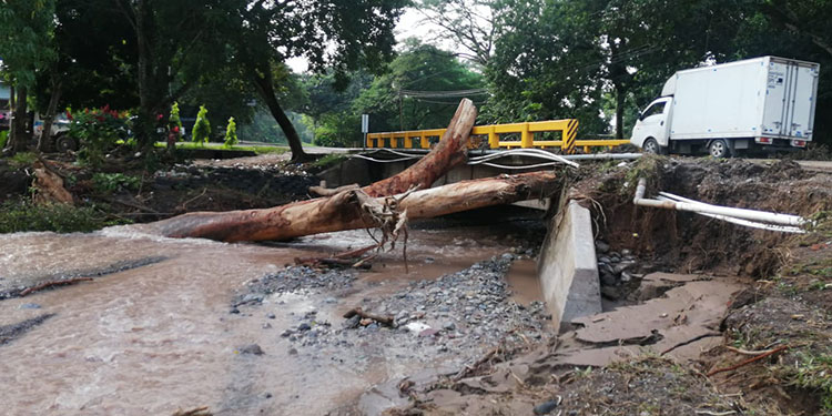 Alcaldesa  de Nuevo Celilac:  «Nuestro municipio esta incomunicado Eta destruyo carreteras, puentes  y arraso con los cultivos»
