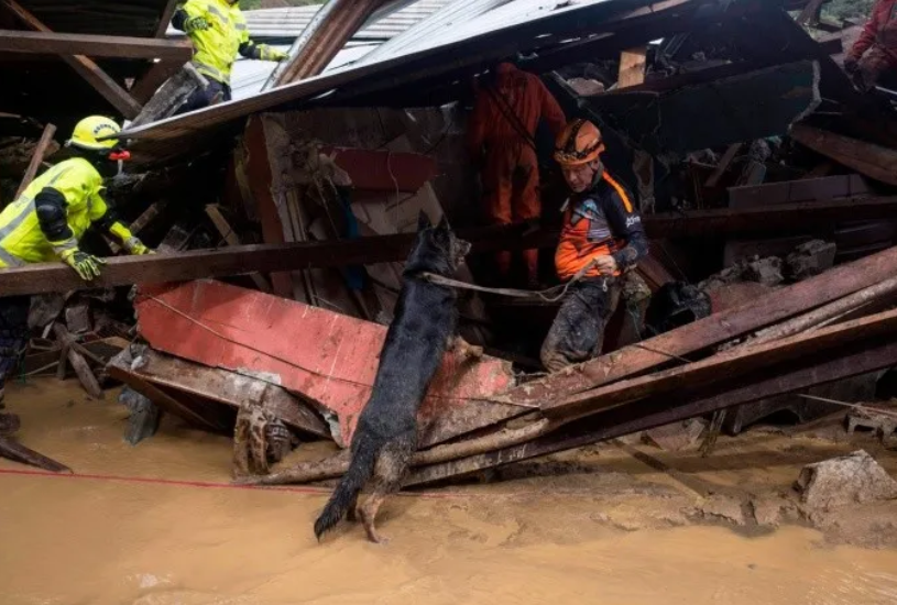 ETA deja 44 personas muertas en Guatemala ETA deja 44 personas muertas en Guatemala