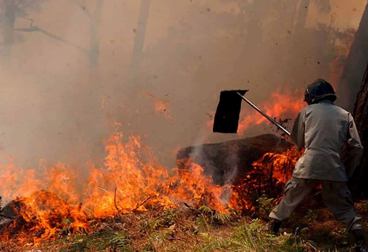 Incendios y desforestación inciden en inundaciones asegura el ICF