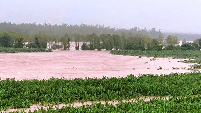 Cortés, Atlántida y Colón son los departamentos más afectados en el sector agrícola por Eta Cortés, Atlántida y Colón son los departamentos más afectados en el sector agrícola por Eta