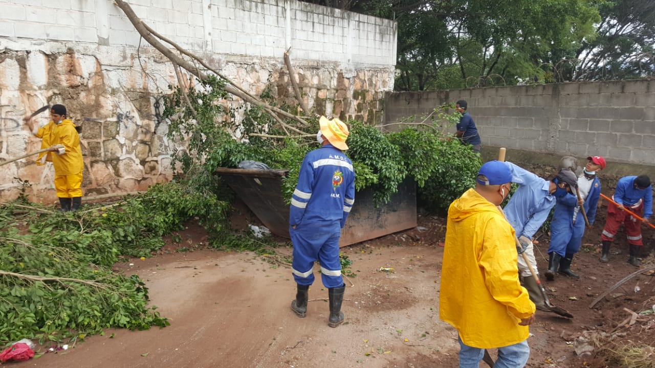 AMDC realiza limpiezas ante posibles inundaciones por Huracán Eta