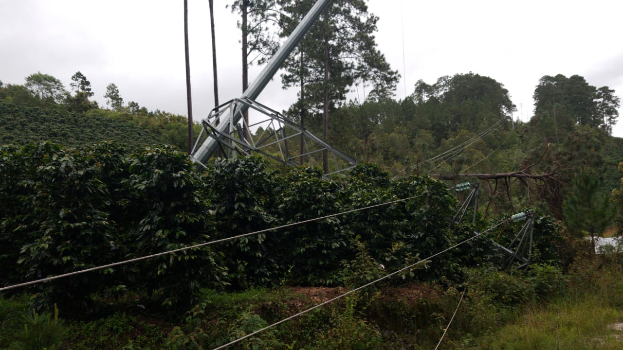 Caída de arboles deja sin fluido eléctrico los departamentos de Intibucá y La Paz Caída de arboles deja sin fluido eléctrico los departamentos de Intibucá y La Paz