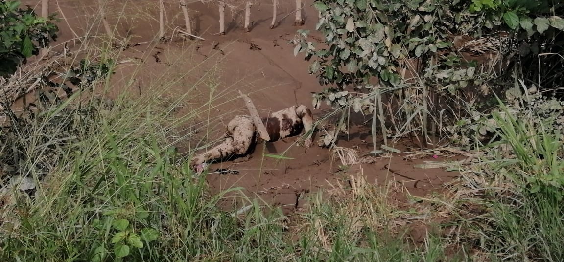 Copeco: Van 57 muertos por tormenta tropical Eta Copeco: Van 57 muertos por tormenta tropical Eta