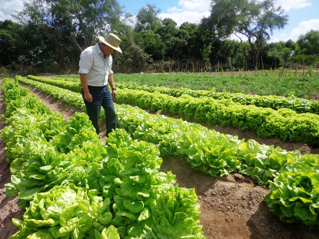 Fenagh: «Si el pueblo consume lo que el país produce vamos a salir de ésta»
